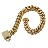 Zirconia Lock Buckle Dogs Chain Necklace - crmores.com