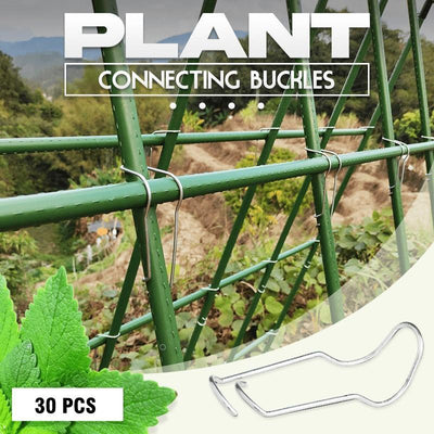 Plant Connecting Buckles - crmores.com