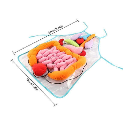 New Body Anatomy Apron - crmores.com