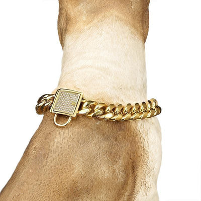 Zirconia Lock Buckle Dogs Chain Necklace - crmores.com