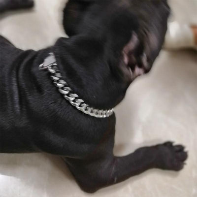 Zirconia Lock Buckle Dogs Chain Necklace - crmores.com