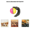Weasel Ball For Pets - crmores.com