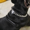 Zirconia Lock Buckle Dogs Chain Necklace - crmores.com