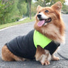 Winter Thickened Dog Clothing - crmores.com